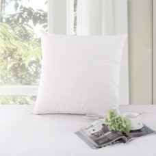 Allrange Feather Pillow Insert